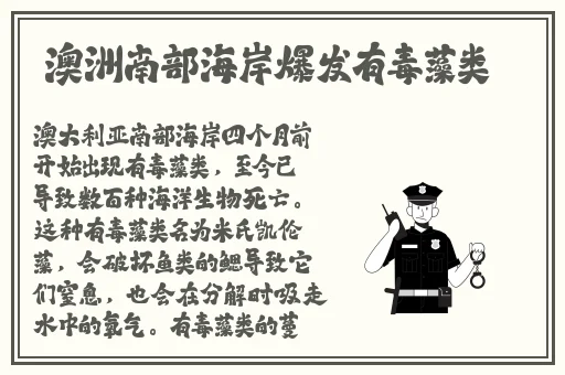 506寝室的灯灭了6朵花